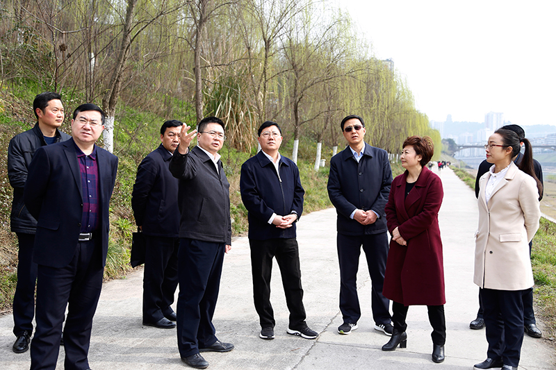 市长巡河800.jpg