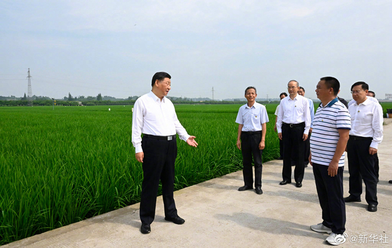 习近平在四川眉山市考察调研「相关图片」