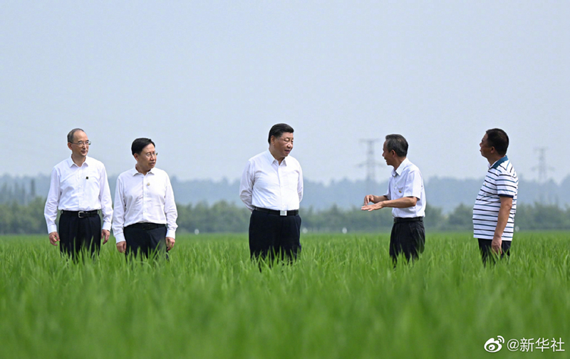 习近平在四川眉山市考察调研「相关图片」